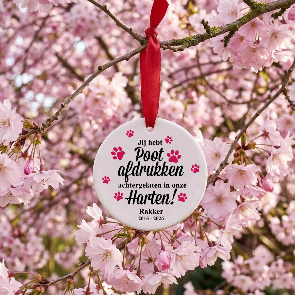 Pootafrukken in onze harten