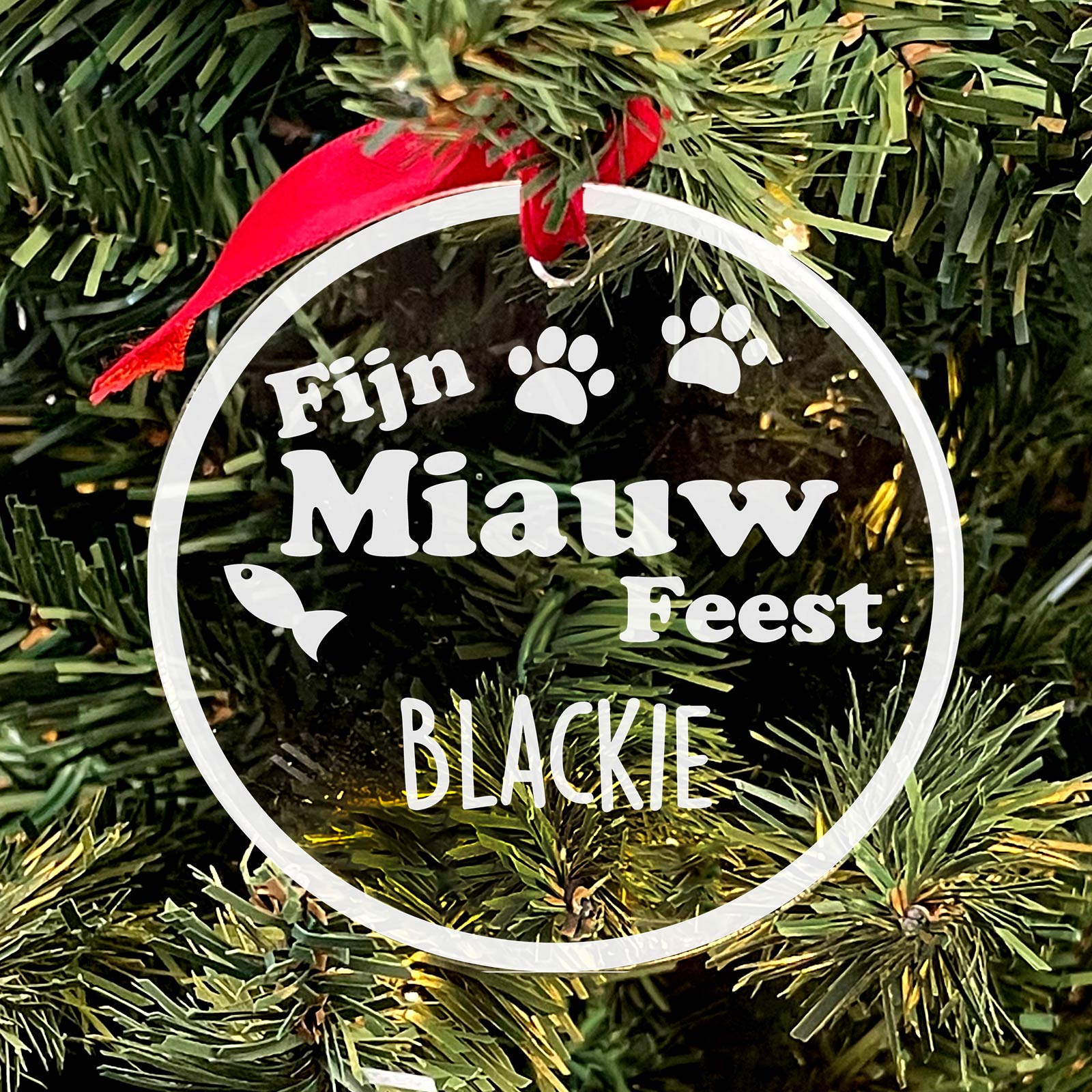 Fijn MIAUW Feest! Plexiglas Kerstbal - Bella Mia