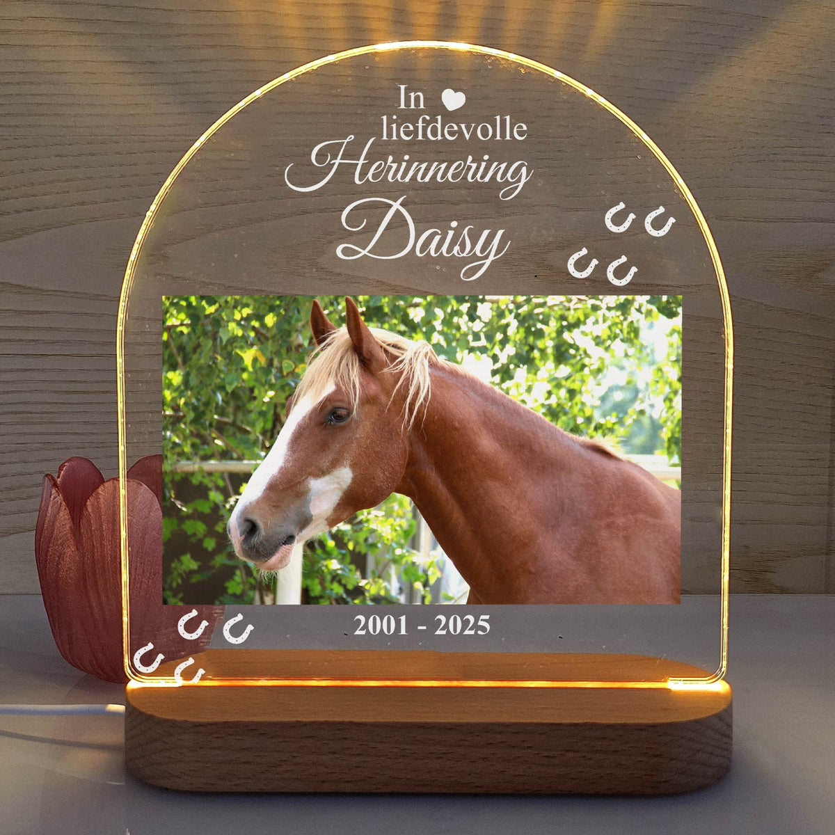In liefdevolle herinnering - Paard fotolamp - Bella Mia