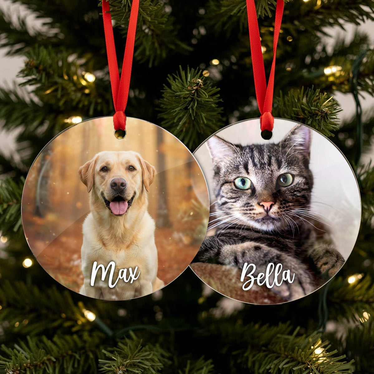 Jouw hond of kat als Fotokerstbal - Bella Mia