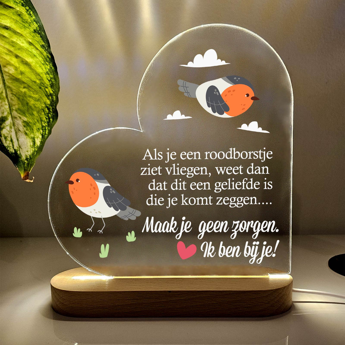 Maak je geen zorgen - Hart Ledlamp - Bella Mia