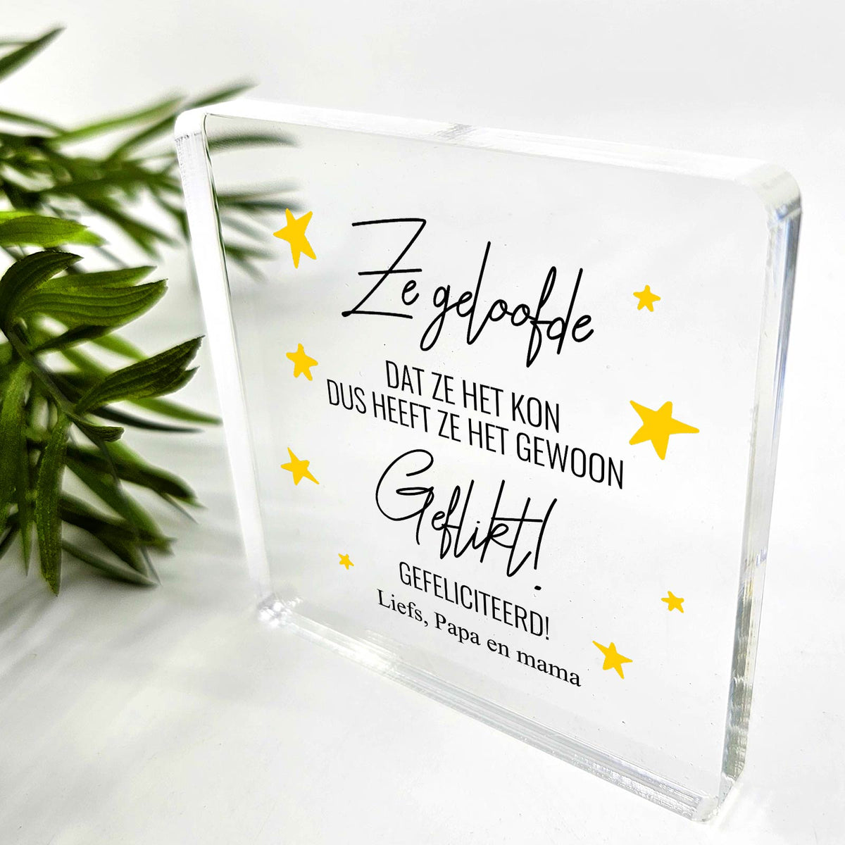Ze geloofde dat ze het kon - Plexiglas Plaque - Bella Mia