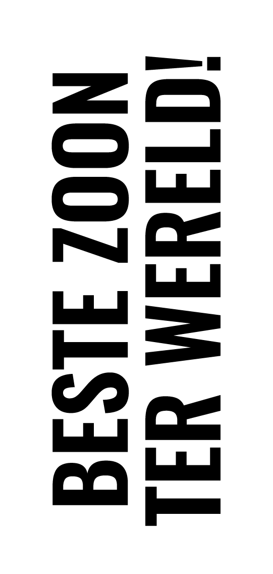 Armband voor je zoon - Bella Mia