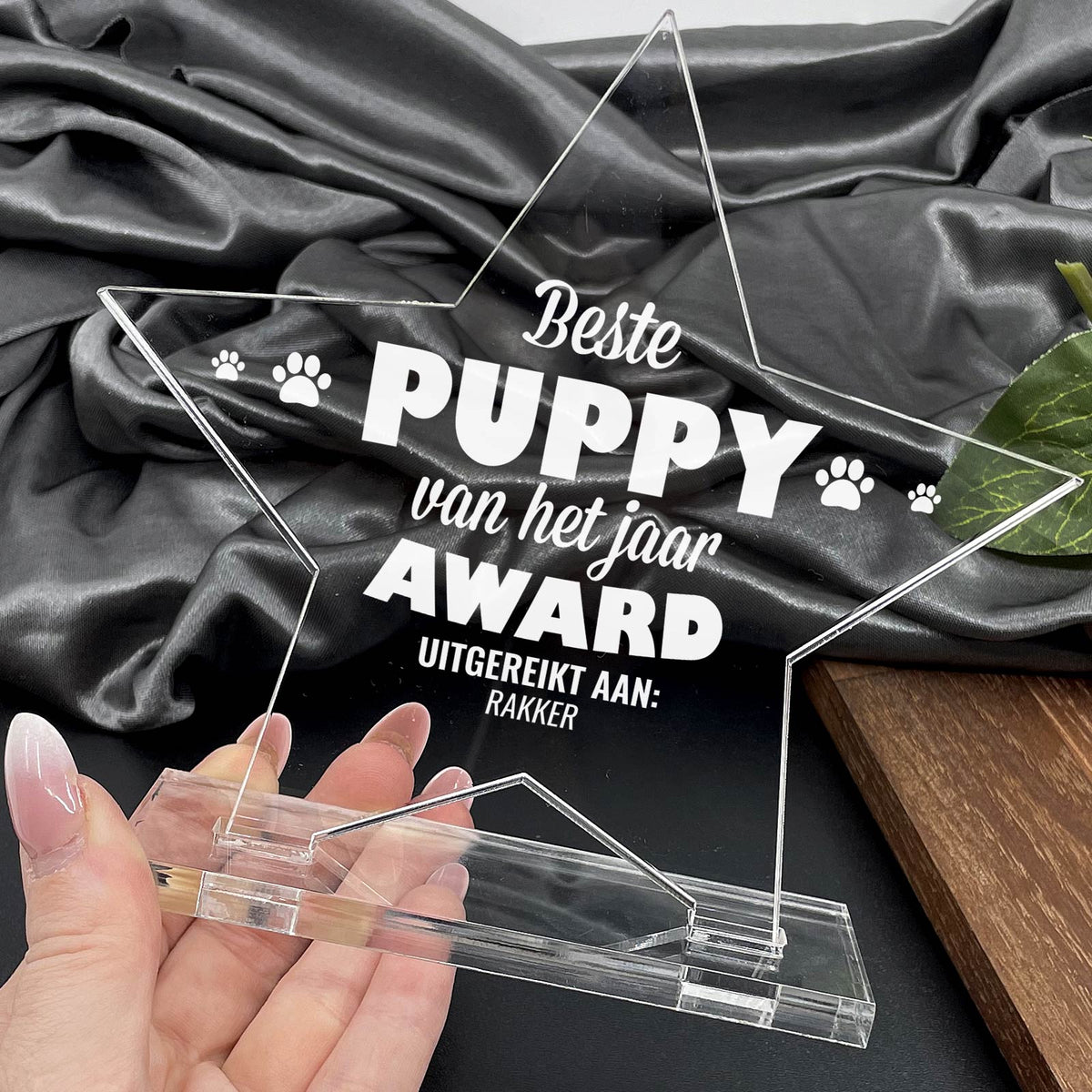 Beste Puppy Van Het Jaar Award - Bella Mia