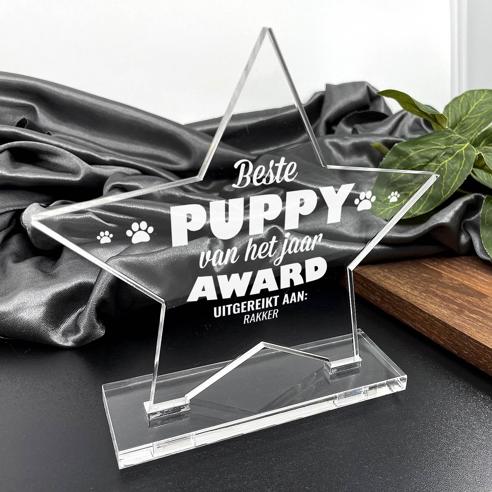 Beste Puppy Van Het Jaar Award - Bella Mia