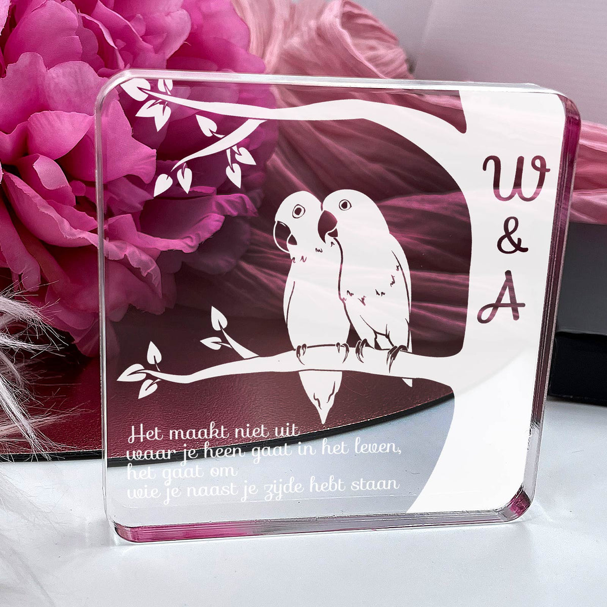 Lovebirds, Het Gaat Om Wie Je Naast Je Hebt Staan - Bella Mia